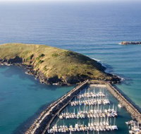 Muttonbird Island Nature Reserve - Food Delivery Shop