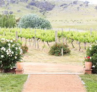 Brindabella Hills Winery - Food Delivery Shop