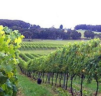 Banjo's Run Winery and Vineyard - Food Delivery Shop