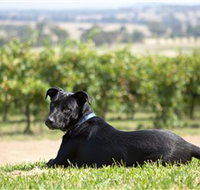 Moothi Estate Vineyard and Cellar Door - Food Delivery Shop