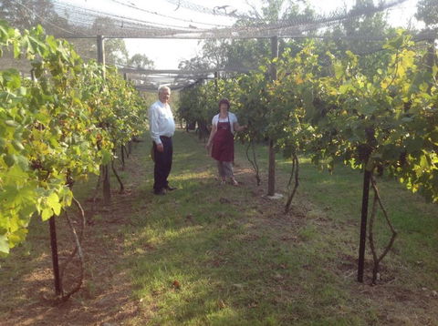 Holland Wines - Food Delivery Shop 8