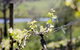 Mount Cole WineWorks - thumb 0