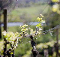 Mount Cole WineWorks - Food Delivery Shop