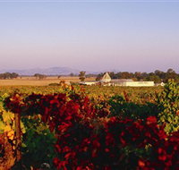Morris Wines - Food Delivery Shop