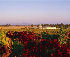 Morris Wines - Food Delivery Shop 0