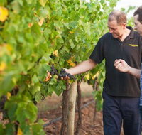 Fratin Brothers Vineyard - Food Delivery Shop