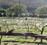 Three Willows Vineyard - Food Delivery Shop