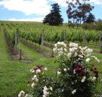 Pembroke Estate Vineyard - Food Delivery Shop