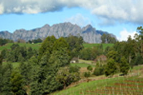 The North West TAS Food Delivery Shop
