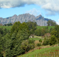 Lake Barrington Vineyard - Food Delivery Shop