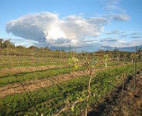 Flyfaire Wines - Food Delivery Shop 7