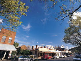 Drysdale Cheeses - Food Delivery Shop 1