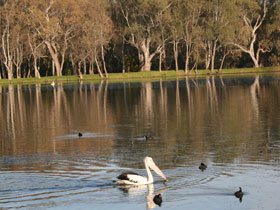 Drysdale Cheeses - Food Delivery Shop 7