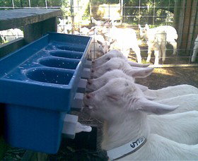 Drysdale Cheeses - Food Delivery Shop 9