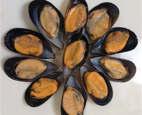 Advance Mussel Supply - Food Delivery Shop 3