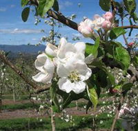 Mouat's Farm - Food Delivery Shop