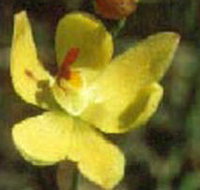 Langwarrin Flora and Fauna Reserve - Food Delivery Shop