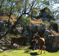 Coomba Falls - Pet Food Australia