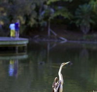 Birdwatching in the South Burnett - Food Delivery Shop