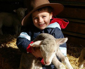 Warrook Farm - Food Delivery Shop 1