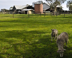 Warrook Farm - Food Delivery Shop 4