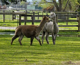 Warrook Farm - Food Delivery Shop 6