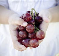 Granitevale  Estate Winery - Food Delivery Shop