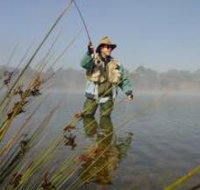 Lake Wallace - Pet Food Australia