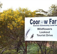 Coorow Farm Wildflower Trail - Pet Food Australia