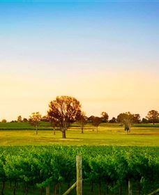 Canberra District Wineries - Food Delivery Shop 0