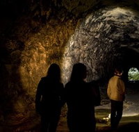 Newnes Plateau - Pet Food Australia