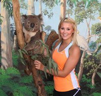 Maru Koala and Animal Park - Food Delivery Shop