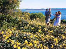 Seventeen Seventy QLD Food Delivery Shop