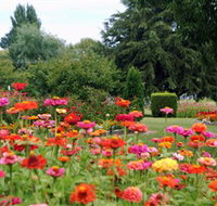 Alma Park - Pet Food Australia