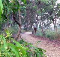 Mount Mutton Walking Trail - Pet Food Australia