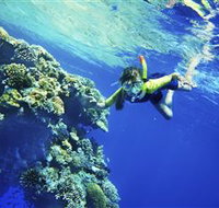 My Mates Tours - Food Delivery Shop