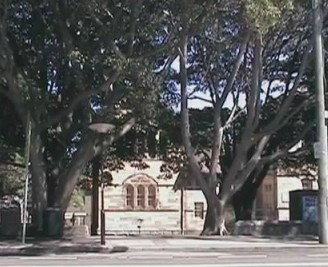 Rozelle Weekend Markets - Food Delivery Shop 0