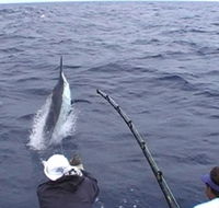 Amokura Charters - Food Delivery Shop