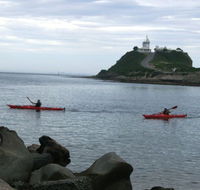 Newcastle Kayak Tours - Food Delivery Shop