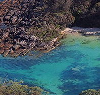 Sydney Weekend Adventures - Food Delivery Shop