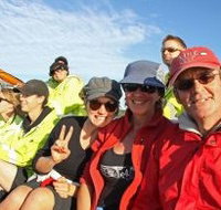 Byron Bay Whale Watching - Pet Food Australia