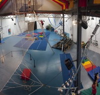 Circus Arts - Pet Food Australia