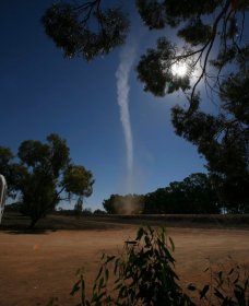 Outback Nsw NSW Pet Food Australia