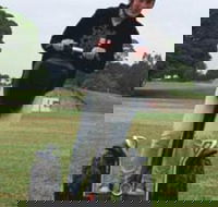 Segway Tours Australia - Food Delivery Shop