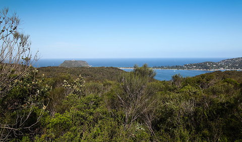 Aboriginal Heritage Walk - Pet Food Australia 1