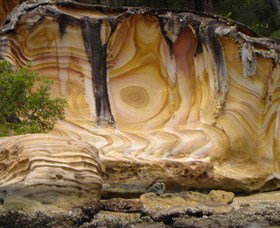 The Riverboat Postman - Pet Food Australia 1