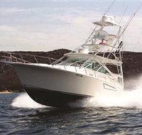 1300 Big Fish - Pet Food Australia