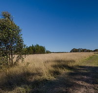 Scheyville horse riding trails - Food Delivery Shop