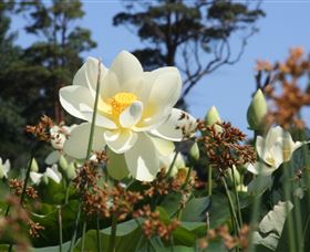 Mt Penang Gardens - Pet Food Australia 2