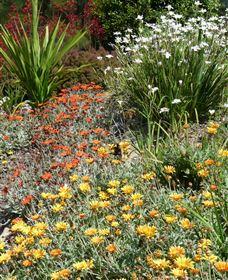 Mt Penang Gardens - Pet Food Australia 4